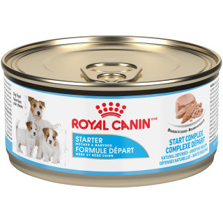 Royal Canin Canine Health Nutrition Starter Mousse Canned Dog Food